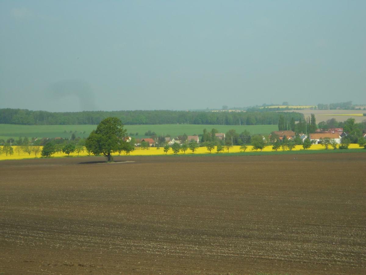 Gaestehaus Schirner Niederau Exterior foto