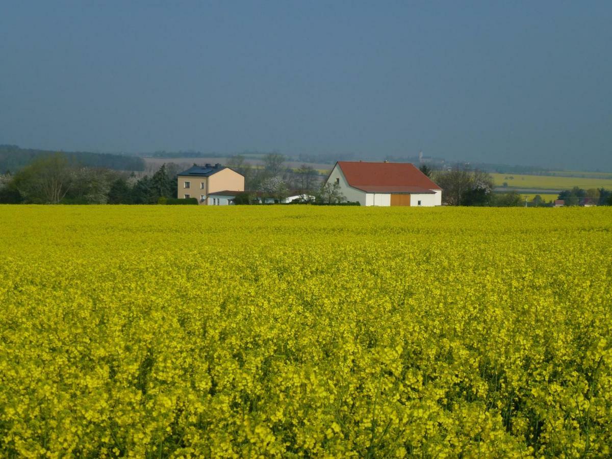Gaestehaus Schirner Niederau Exterior foto